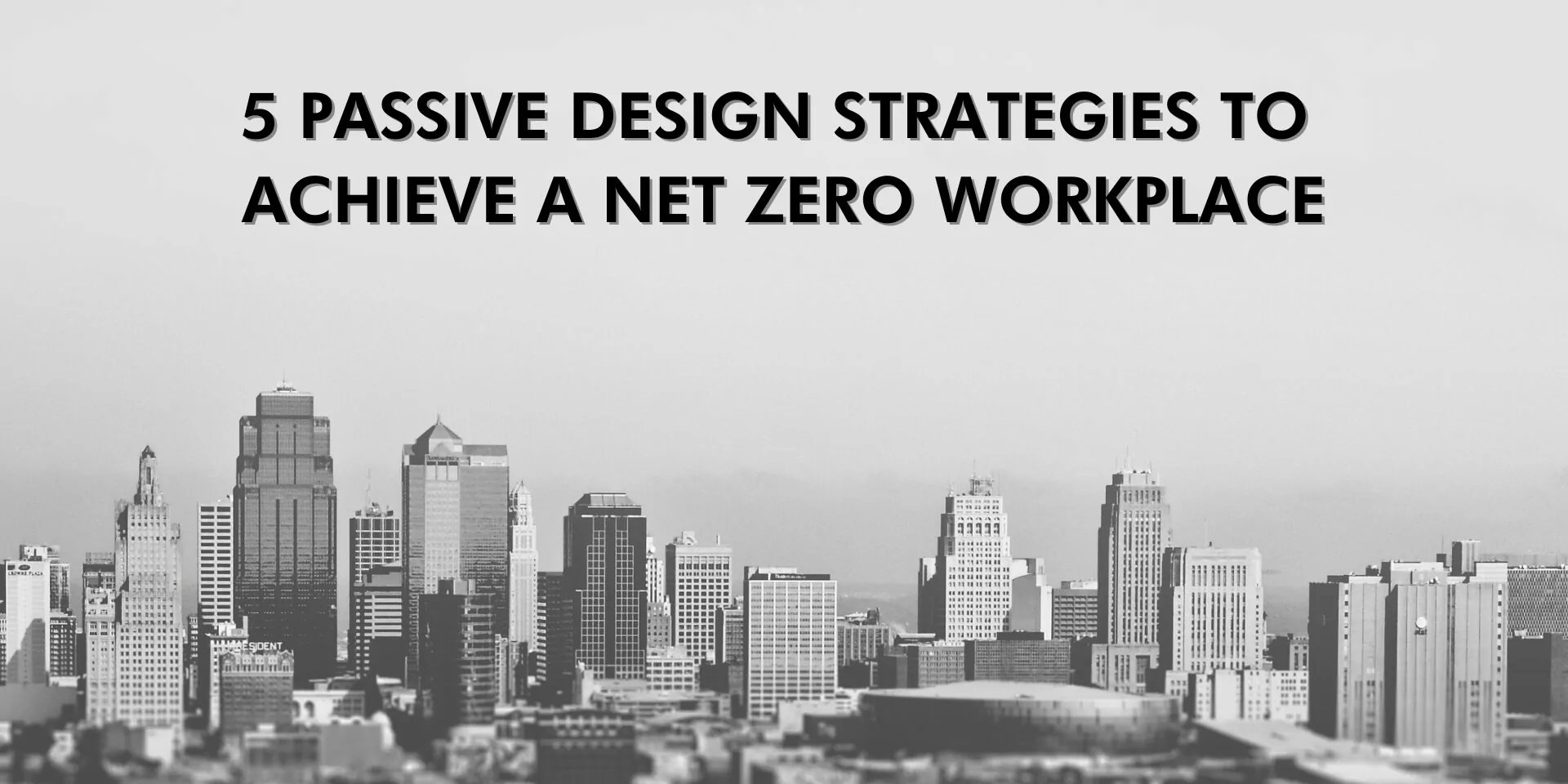 Net Zerro Workplace