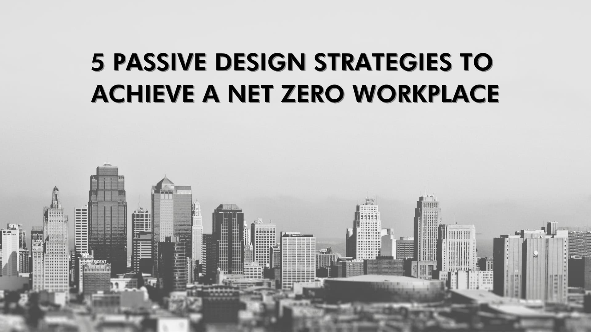 Net Zerro Workplace