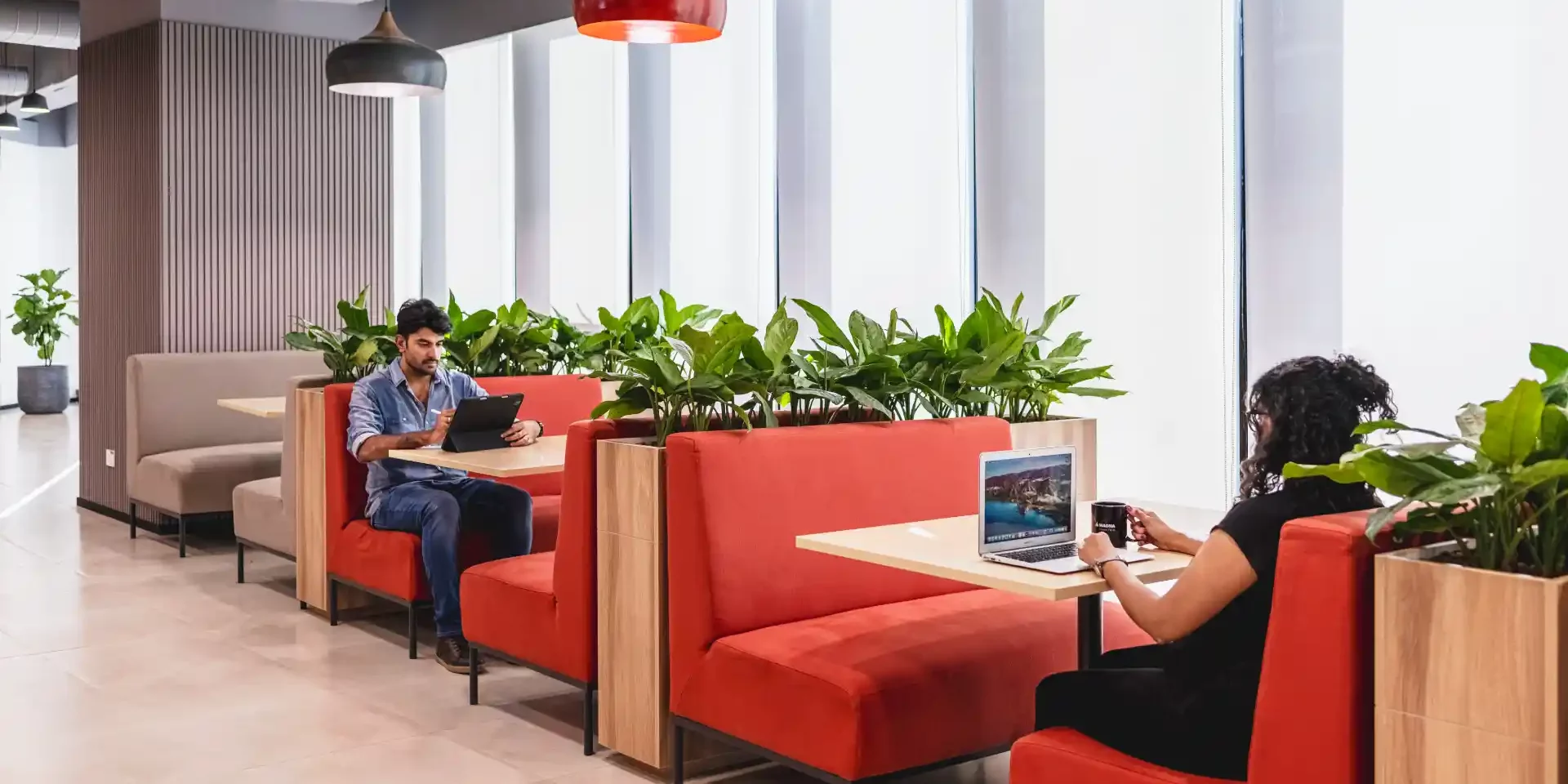 Biophilic workplace designed by Zyeta