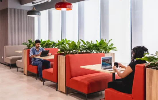 Biophilic workplace designed by Zyeta