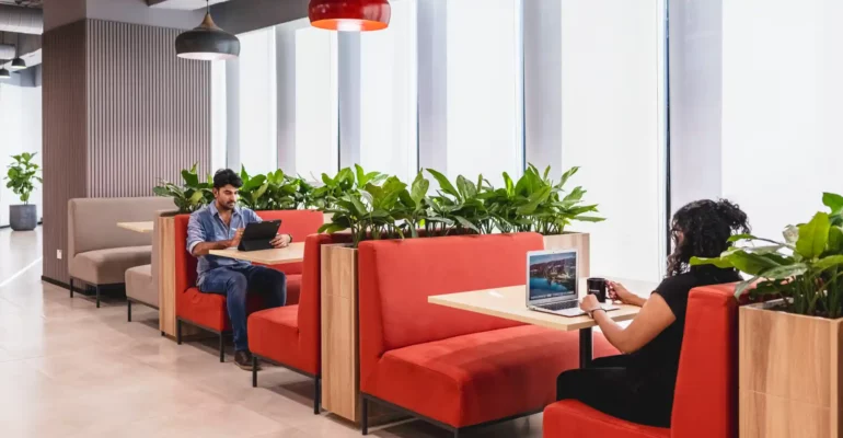 Biophilic workplace designed by Zyeta