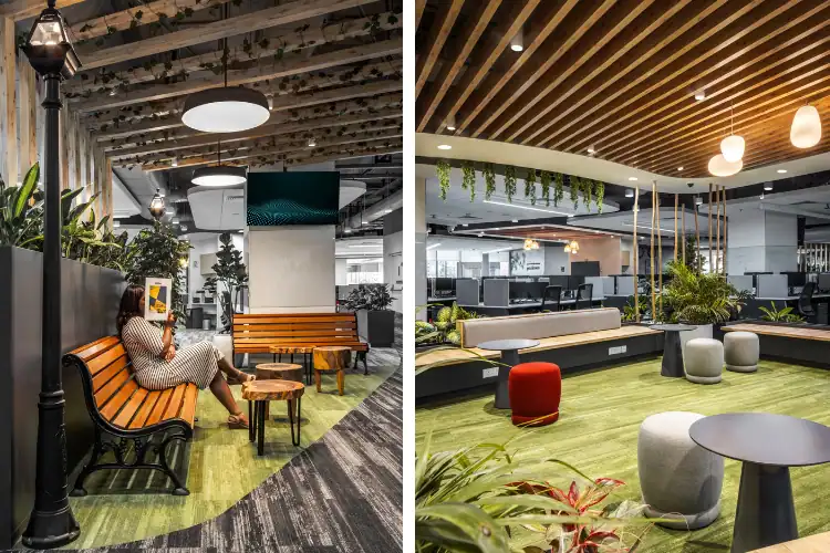 Green interiors with cane lights and swing seating
