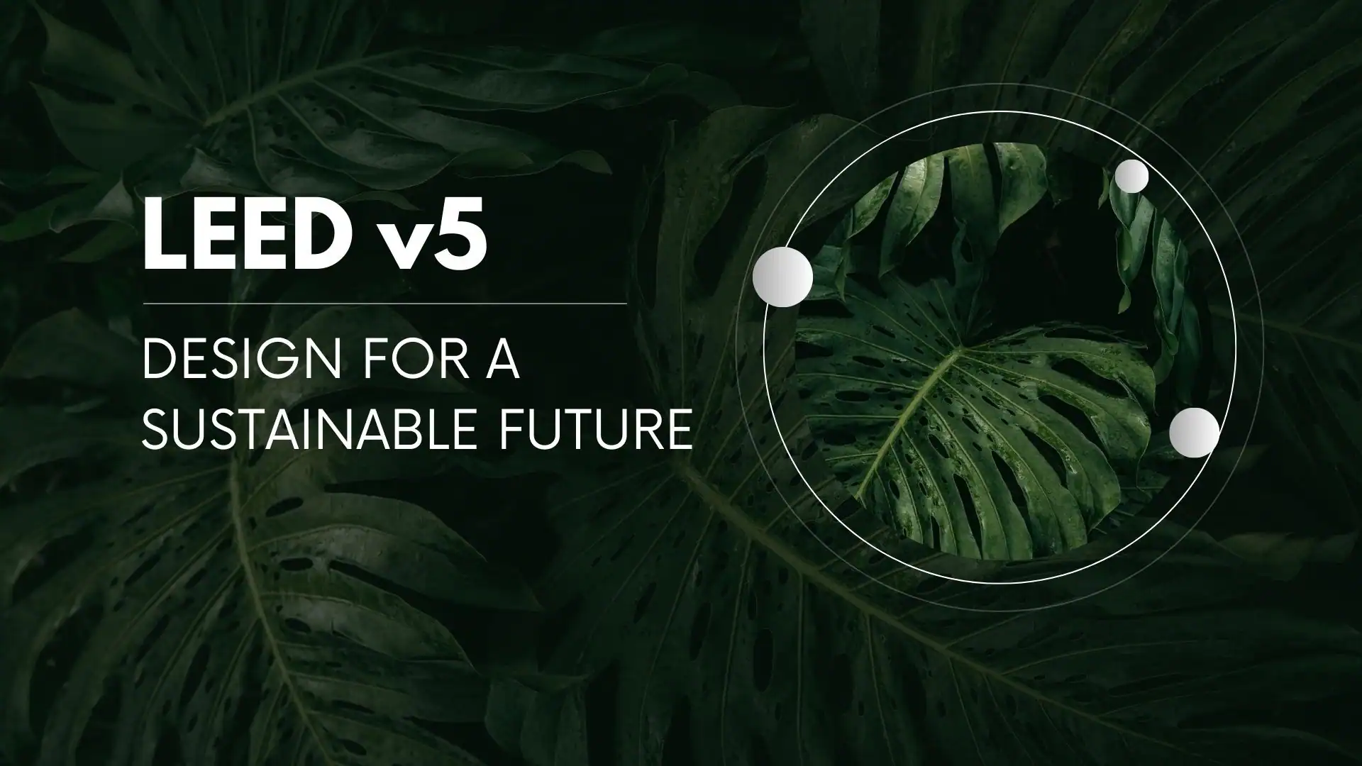 LEED v5 in Workplaces