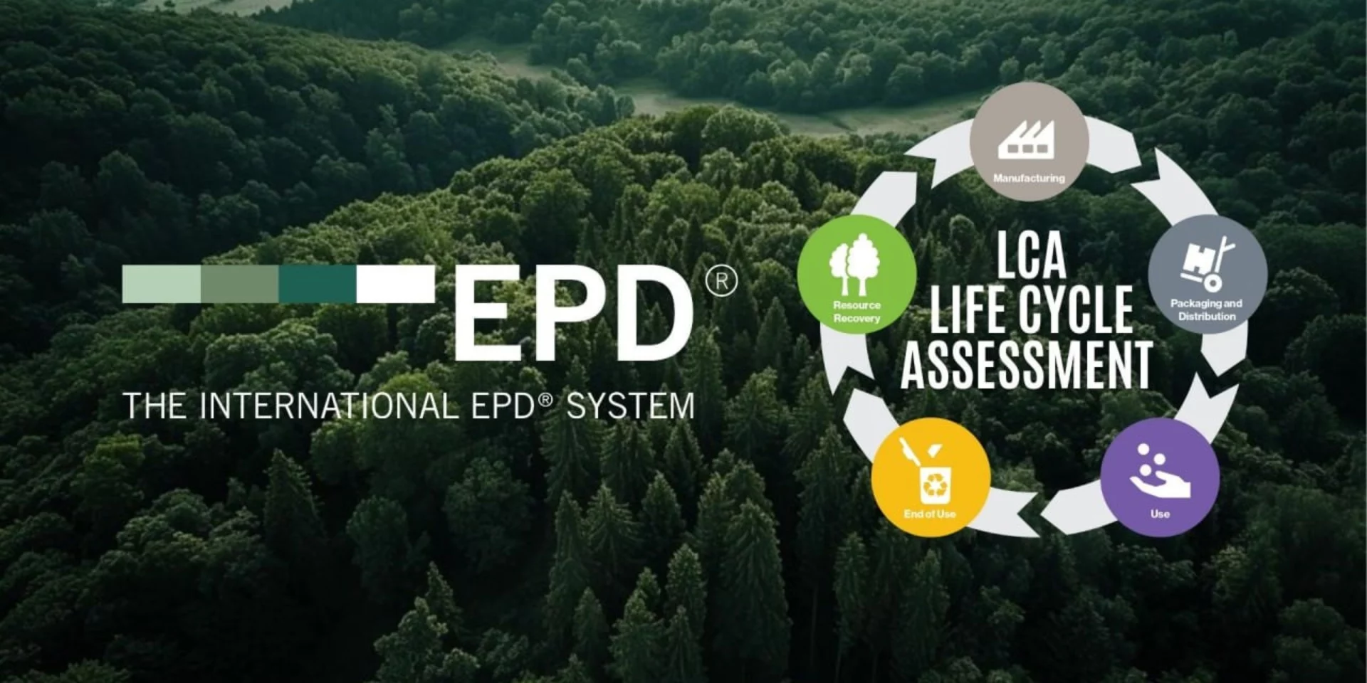 How Can Life Cycle Assessment Help Transform Your Workplace & Business?