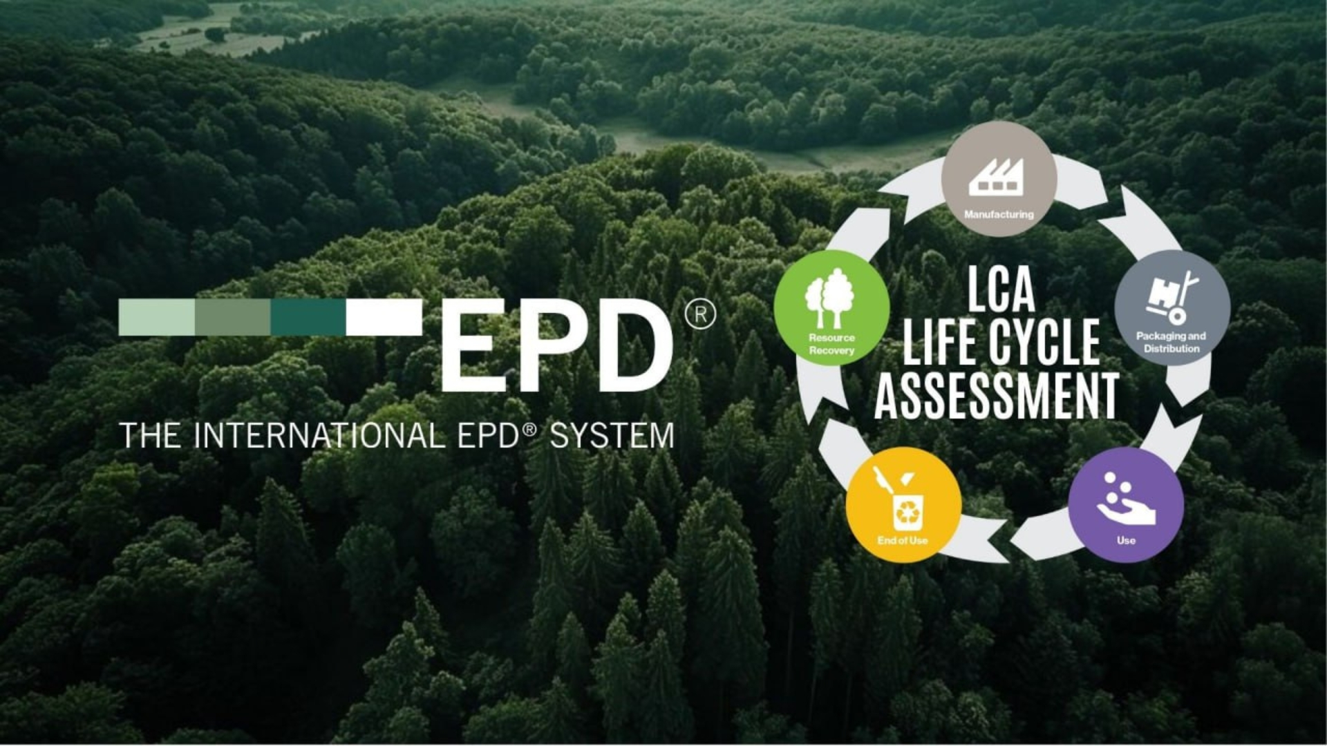 How Can Life Cycle Assessment Help Transform Your Workplace & Business?