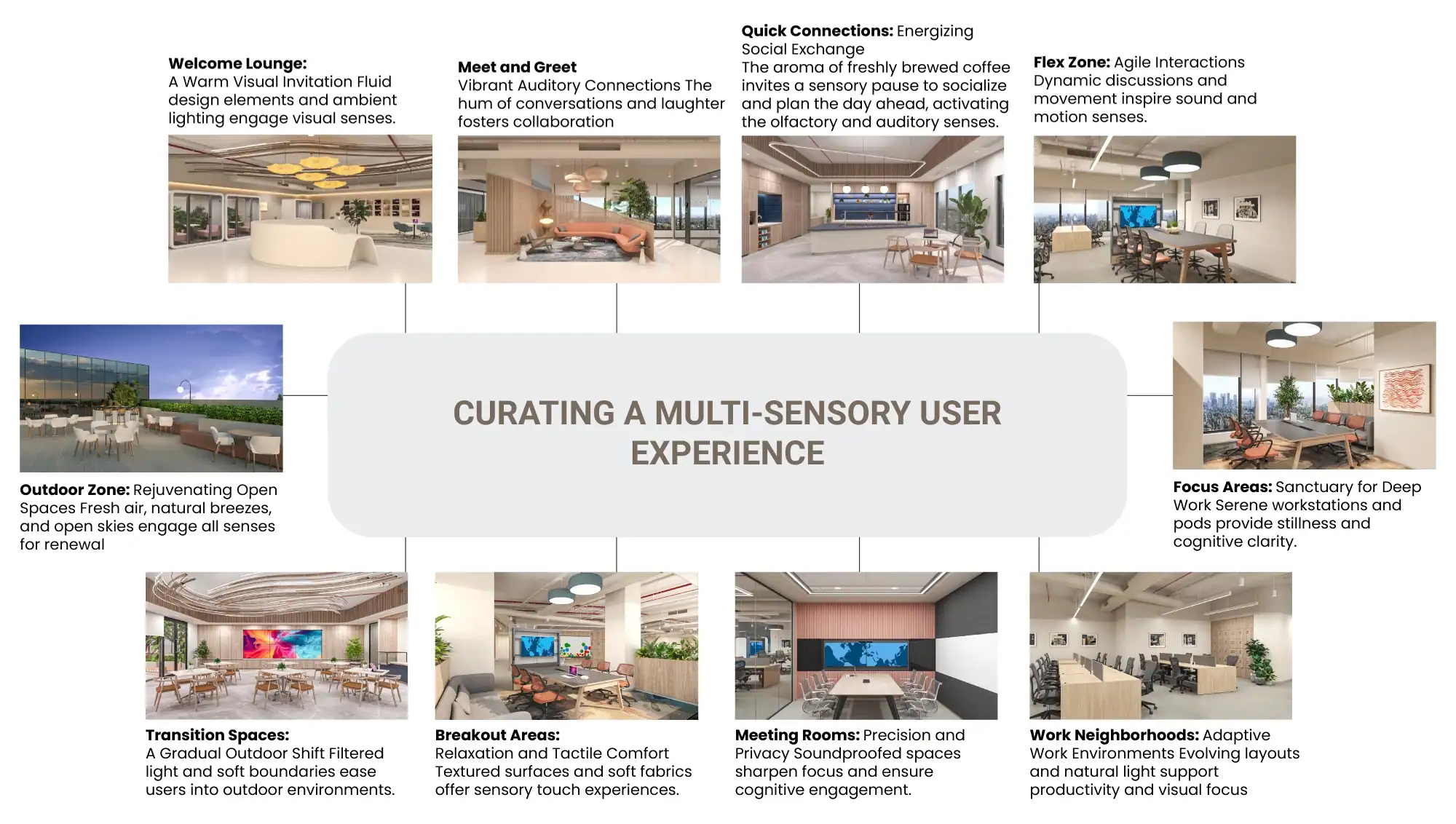 Multi Sensory Office Design Case Study