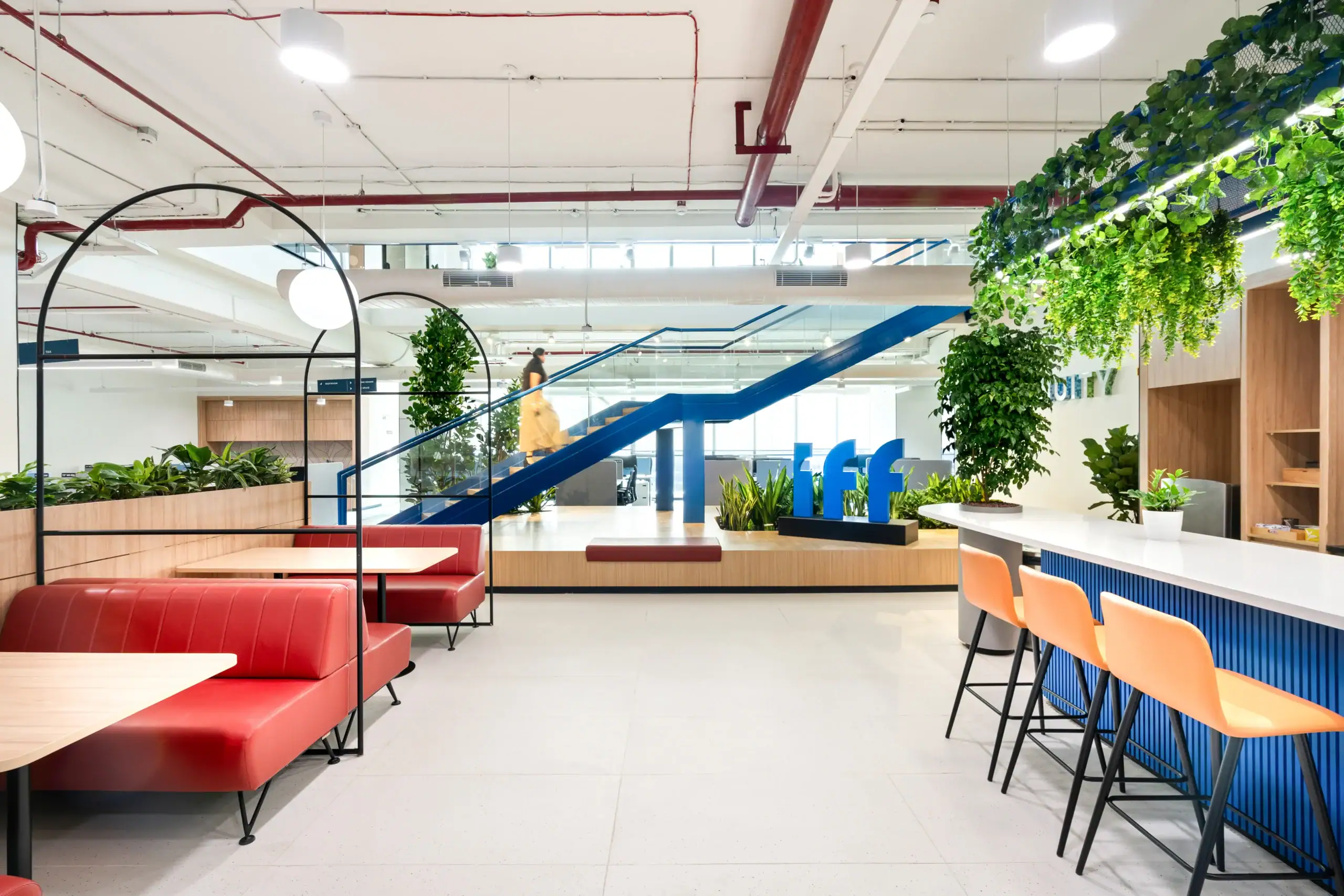 IFF-Hyderabad-Office